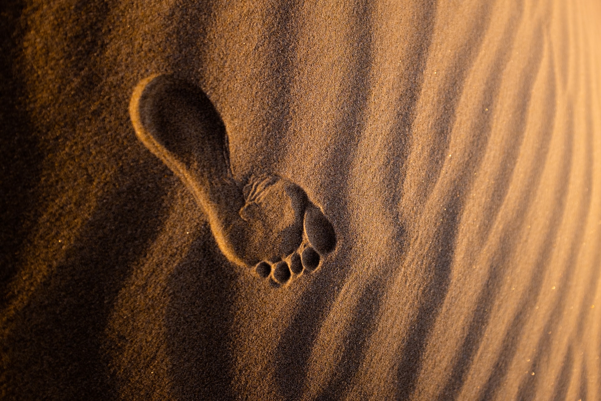 Discover Yourself: Values, Strengths, Vision, EQ, And More
